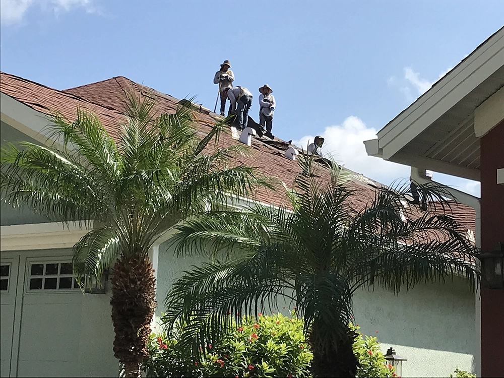 roof-replacement new palma sola trace roof