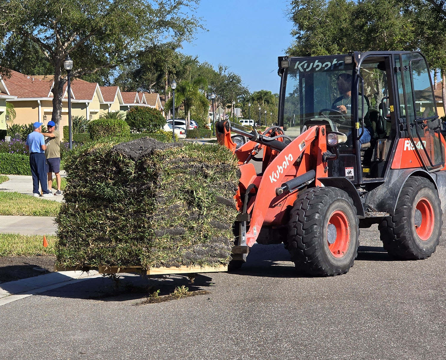 sod replacement 2 larry and bob discuss sod placement