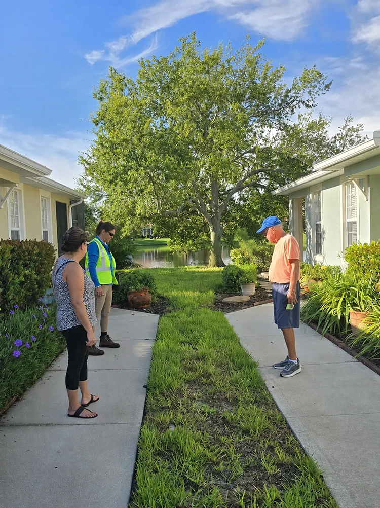 committee review Sod crew preparing villa yards